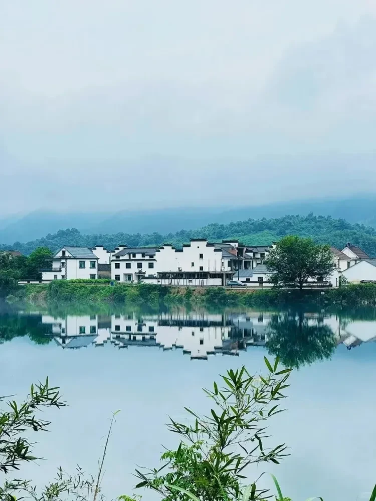 https://p-storage.shanhaitong.com/xm/xmi/ua/1GKqa/i/1067bca035a6139d38a7adc3f603e3a1-sz_1673494.png?x-oss-process=image/resize,w_750/format,webp