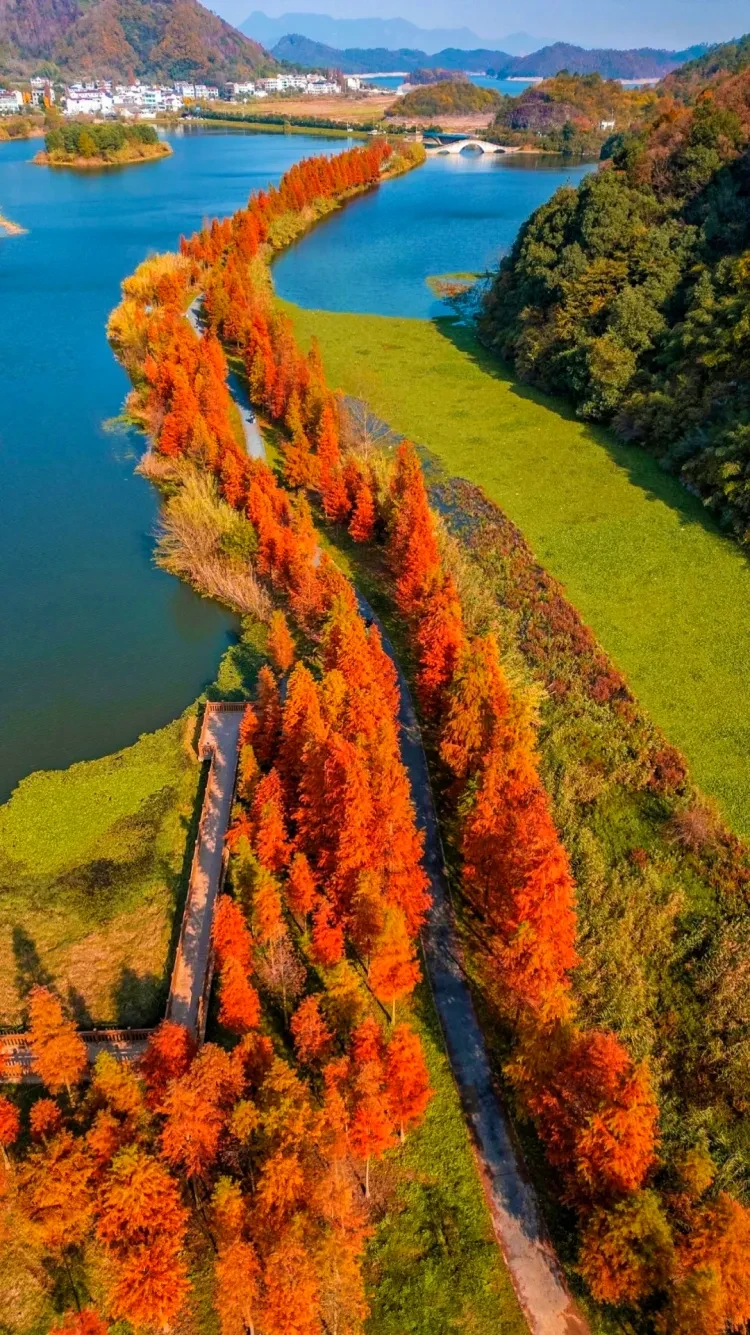 https://p-storage.shanhaitong.com/xm/xmi/ua/1GKqa/i/573639758105238eec3808d23bdb6dd6-sz_5138907.png?x-oss-process=image/resize,w_750/format,webp