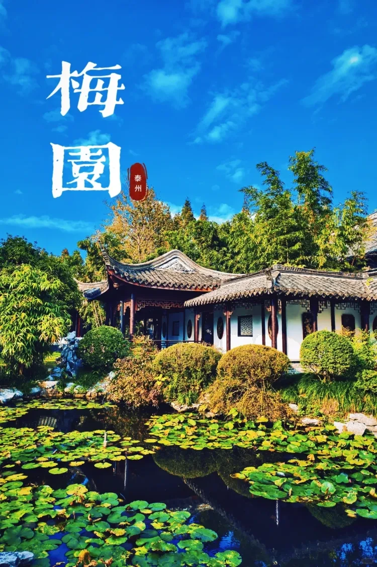 https://p-storage.shanhaitong.com/xm/xmi/ua/1GKqa/i/7f71ed74f03debd0ce32b62ff2ec21e1-sz_3346440.png?x-oss-process=image/resize,w_750/format,webp