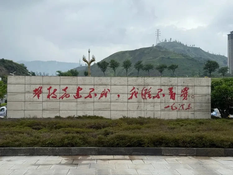 https://p-storage.shanhaitong.com/xm/xmi/ua/41ICu/i/d03af6853a582469fec01dc853c462f1-sz_1795442.png?x-oss-process=image/resize,w_750/format,webp