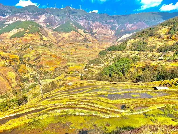 https://p-storage.shanhaitong.com/xm/xmi/ua/41ICu/i/de7ac2479f58f4bdcfce8d2f79943cbd-sz_3539445.png?x-oss-process=image/resize,w_750/format,webp