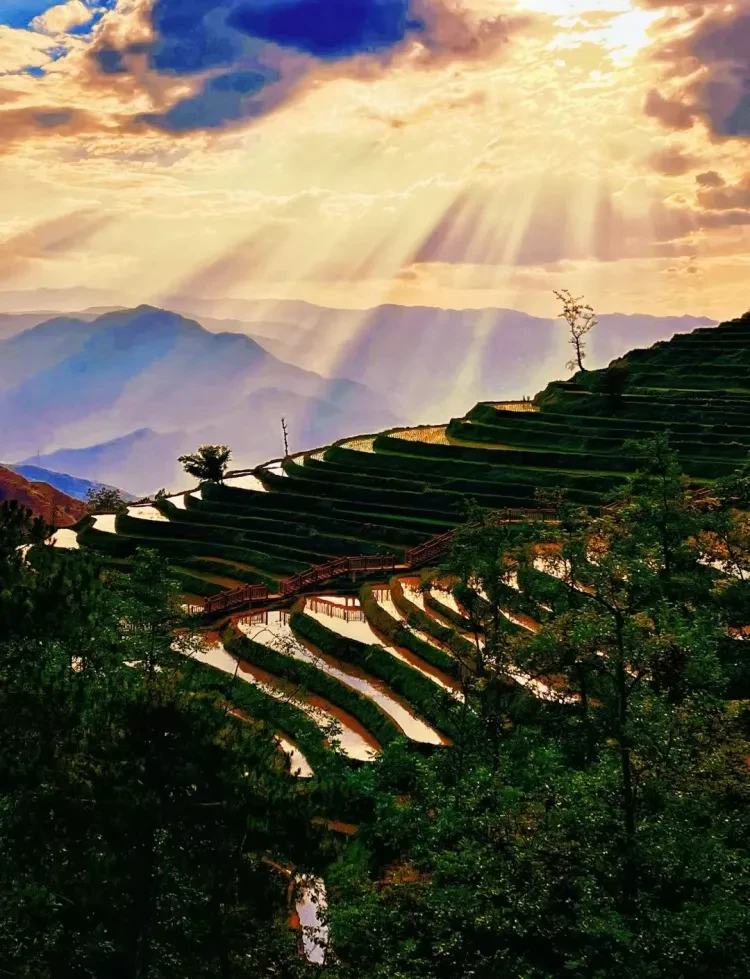 https://p-storage.shanhaitong.com/xm/xmi/ua/41ICu/i/ef843b0a547d4876832901aa80569ef6-sz_269636.jpg?x-oss-process=image/resize,w_750/format,webp