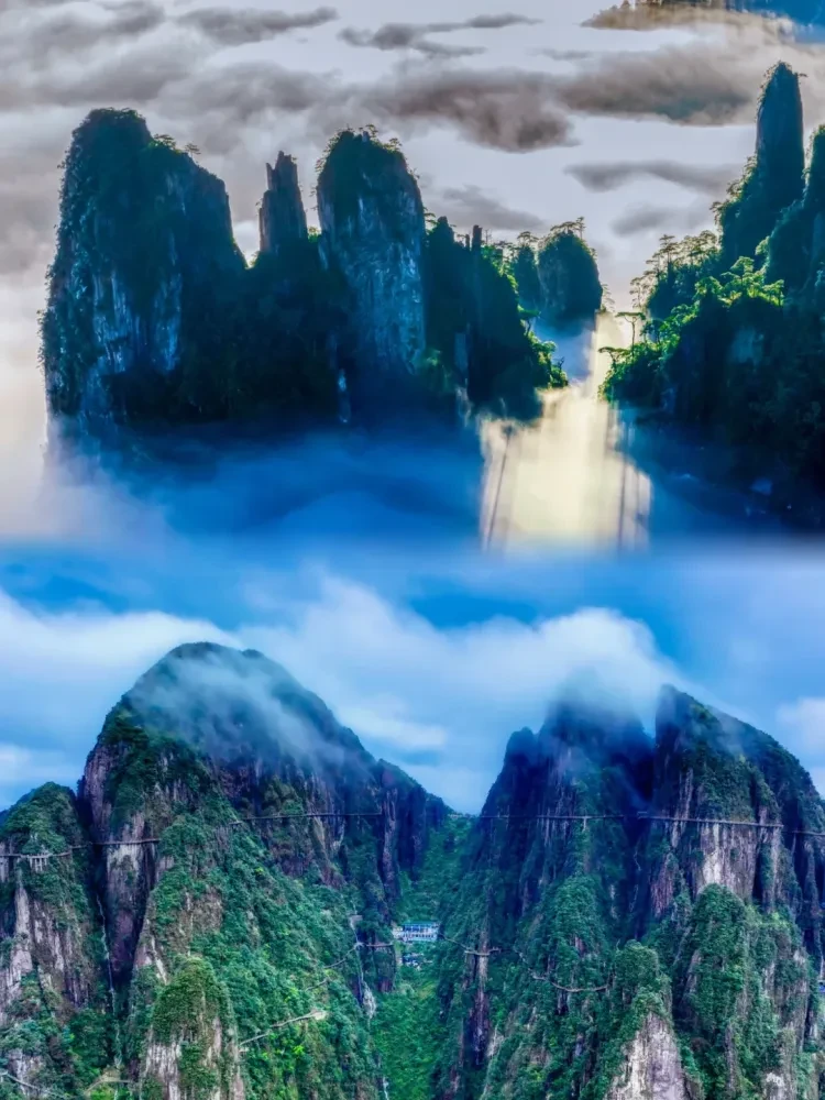 https://p-storage.shanhaitong.com/xm/xmi/ua/41ICu/i/fa91f9883f8e428f8b805f64047a7440-sz_2002299.png?x-oss-process=image/resize,w_750/format,webp